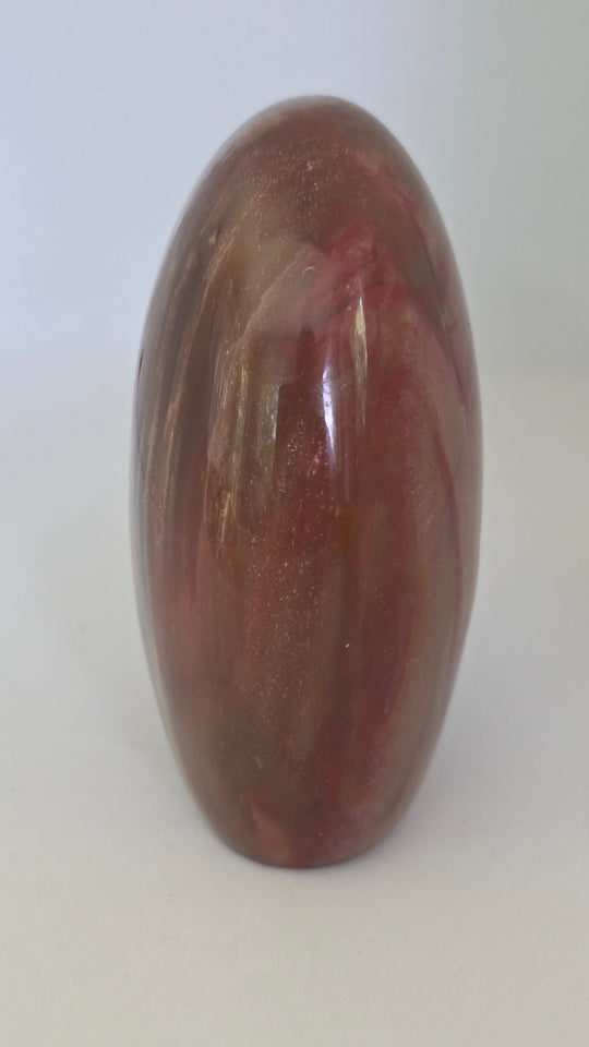Petrified Wood Freeform Polished Display Piece 4" Tall 1.2 lbs