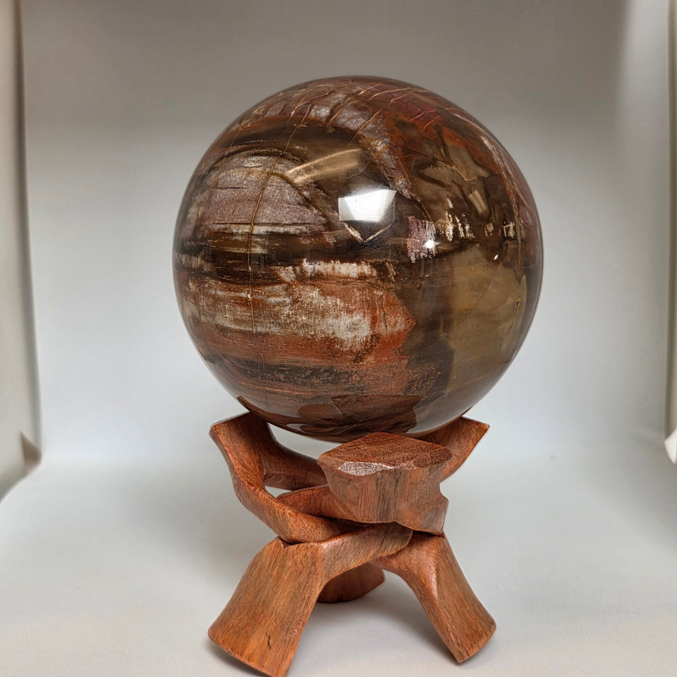 Petrified Wood Sphere – 114mm | 4.27 lb | Wooden Stand Included