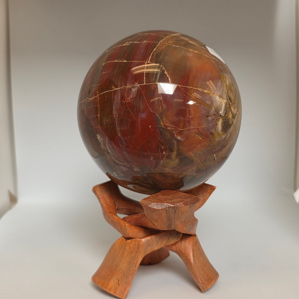 Petrified Wood Sphere – 114mm | 4.27 lb | Wooden Stand Included