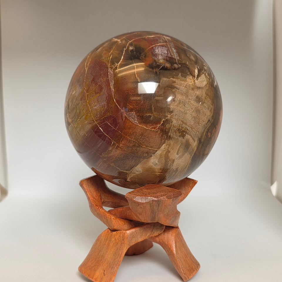 Petrified Wood Sphere – 114mm | 4.27 lb | Wooden Stand Included