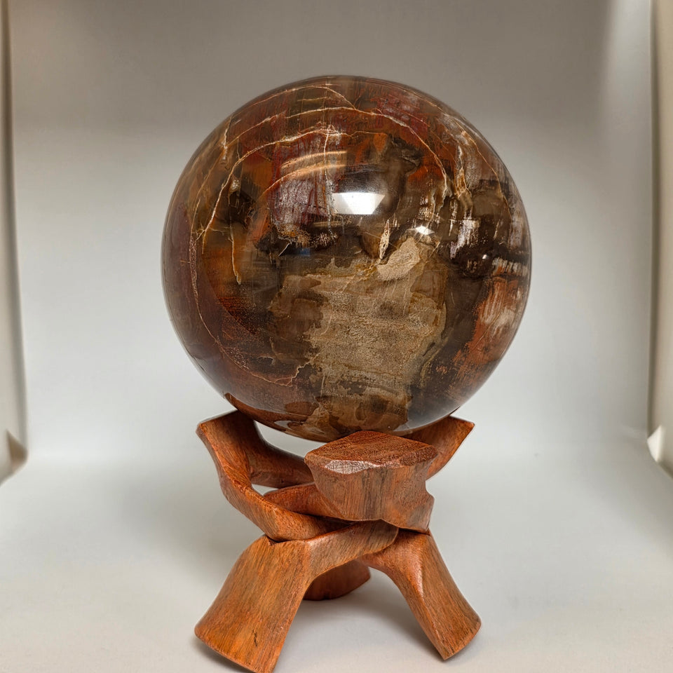 Petrified Wood Sphere – 114mm | 4.27 lb | Wooden Stand Included