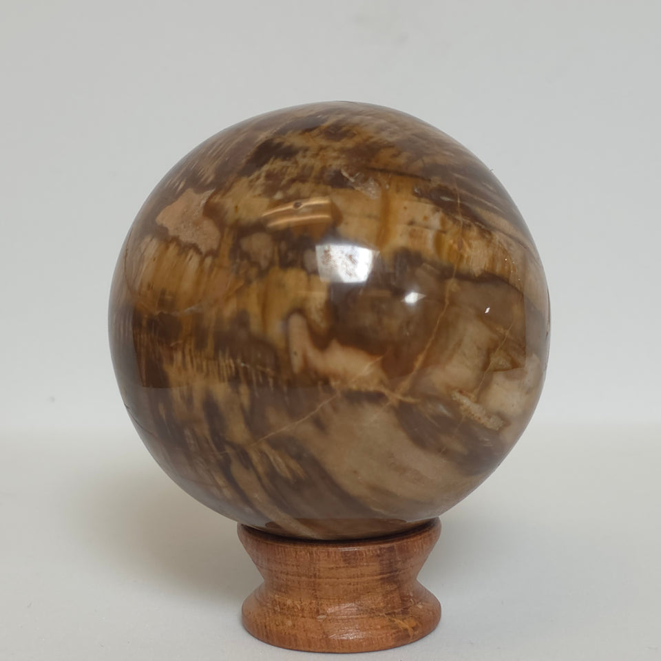 Petrified Wood Sphere – 1.395 lb – 76mm