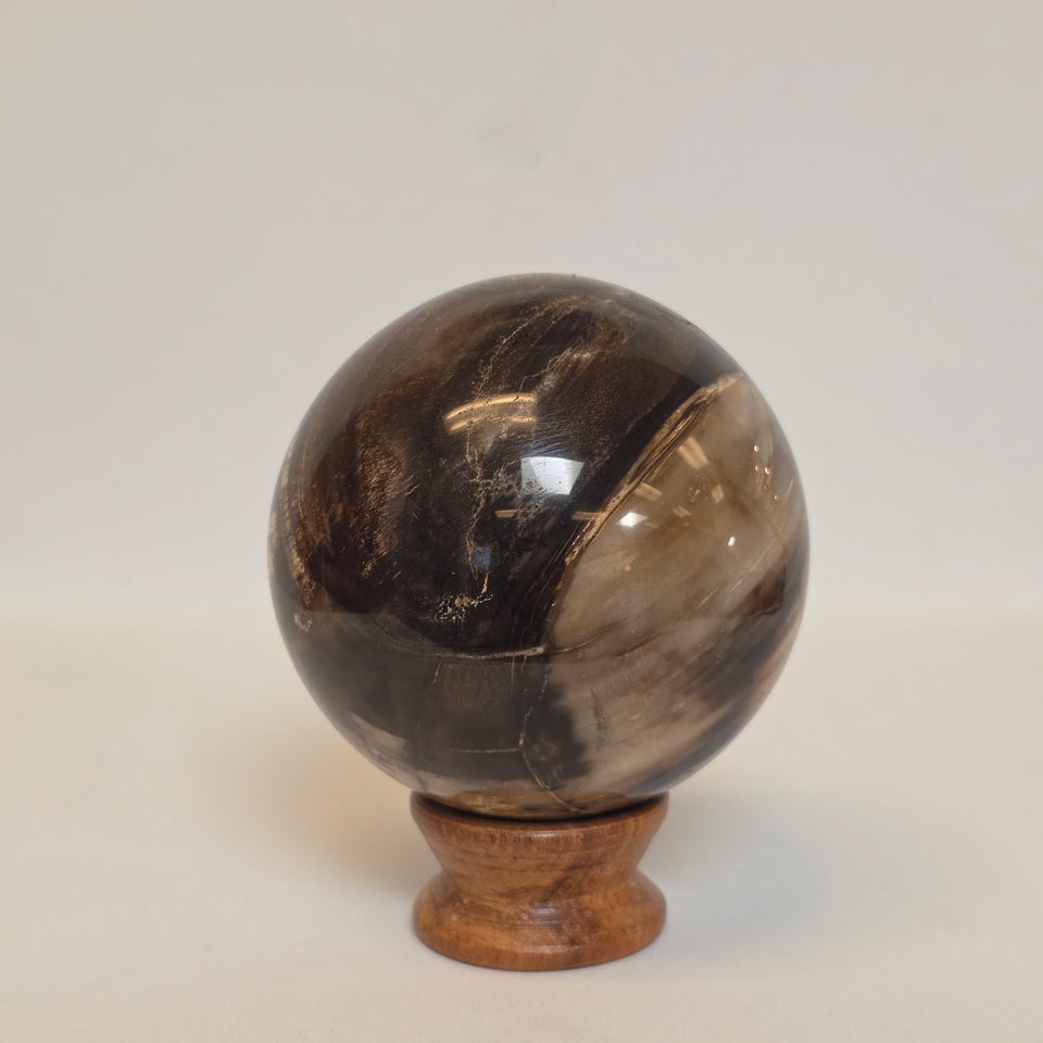 Petrified Wood Sphere – 1.145 lb | 72mm