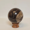 Petrified Wood Sphere – 1.145 lb | 72mm