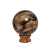 Petrified Wood Sphere – 1.145 lb | 72mm