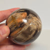 Petrified Wood Sphere – 1.145 lb | 72mm