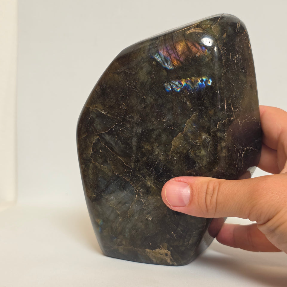 Labradorite Freeform 5.25 lb