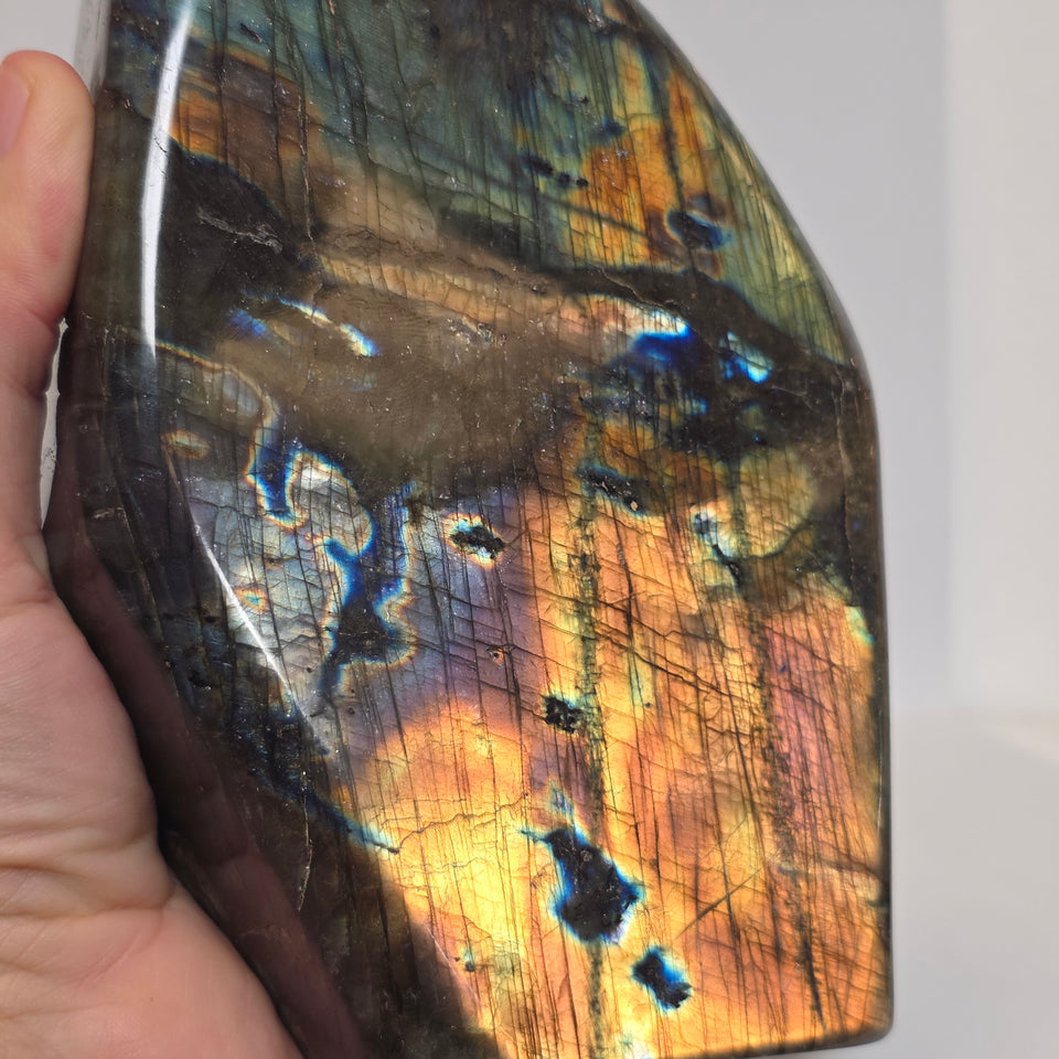 Labradorite Freeform 5.25 lb