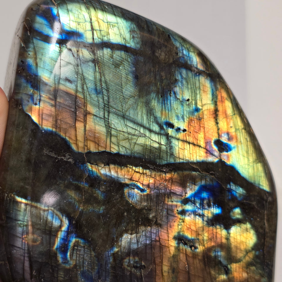Labradorite Freeform 5.25 lb