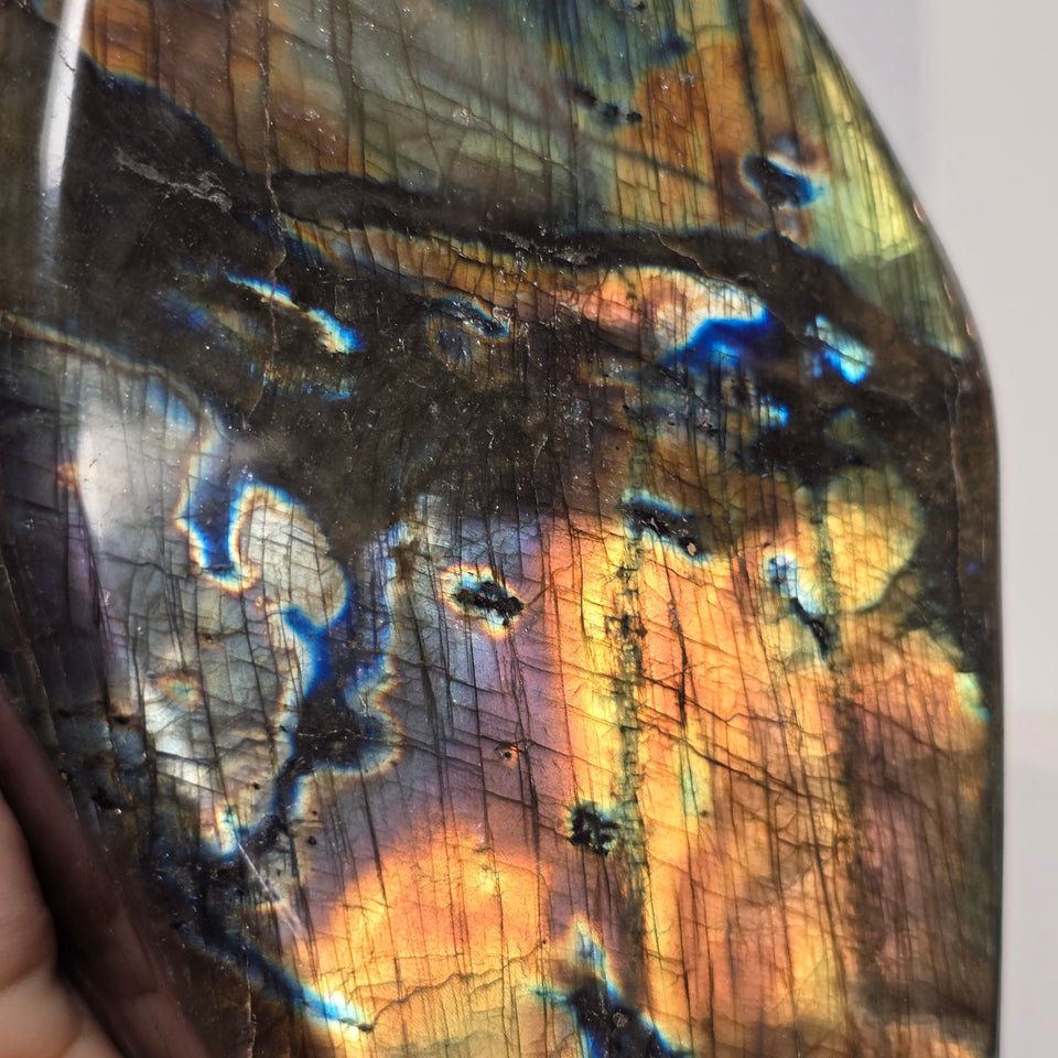 Labradorite Freeform 5.25 lb