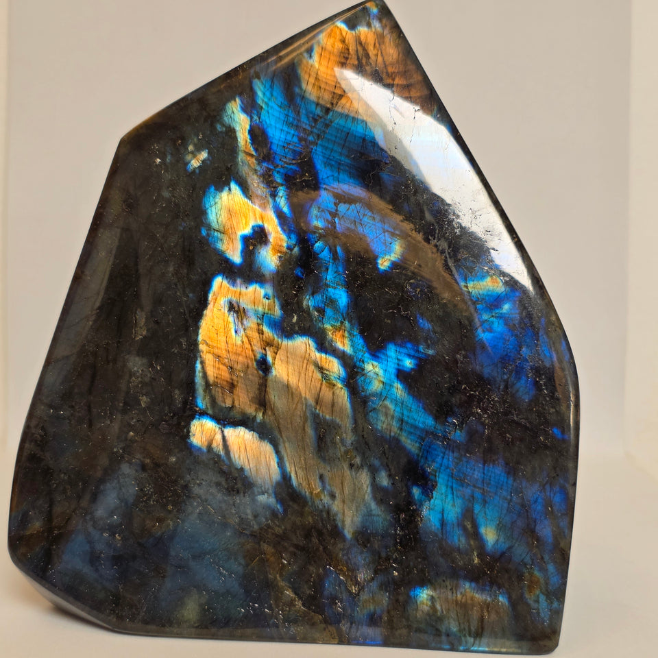 Labradorite Freeform Blue & Gold Flash 9.87 lb