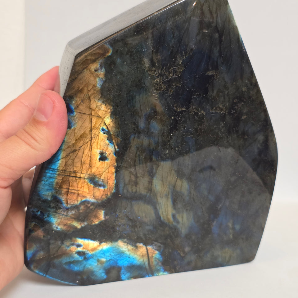 Labradorite Freeform Blue & Gold Flash 9.87 lb