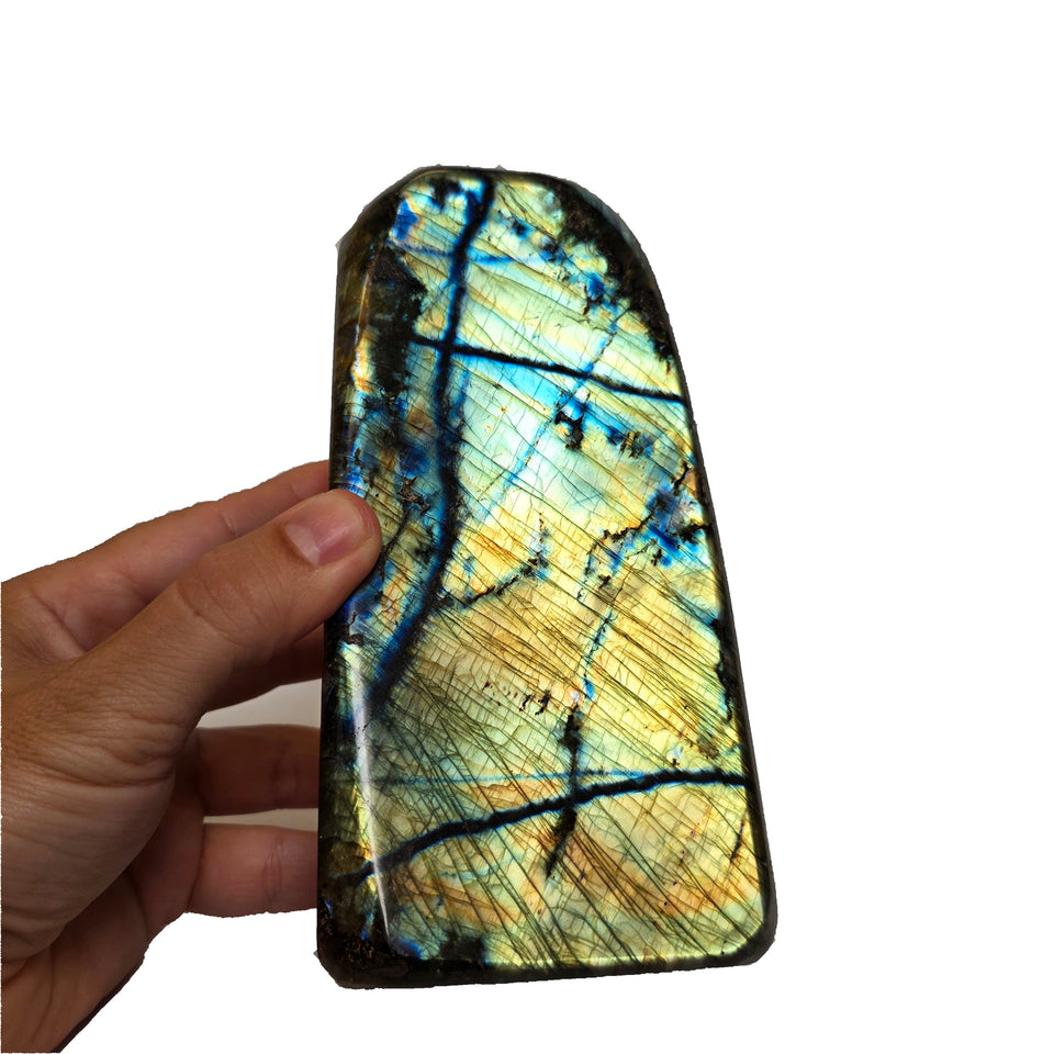 Labradorite Freeform Yellow Flash  4.23 lb