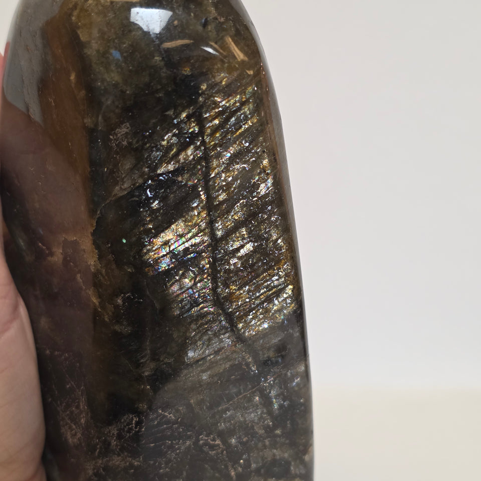 Labradorite Freeform Yellow Flash  4.23 lb