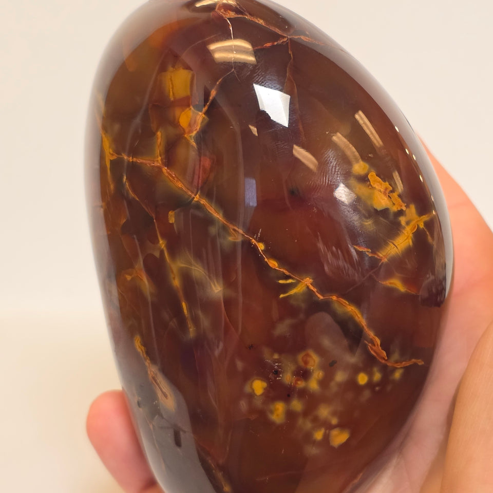 Carnelian Freeform 2.94 lb
