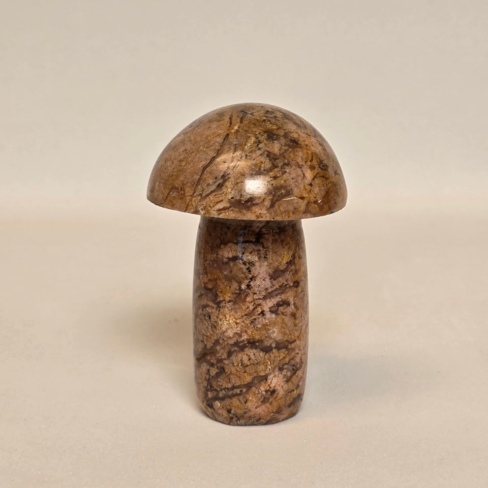 Flower Agate Mushroom – 0.25 lb