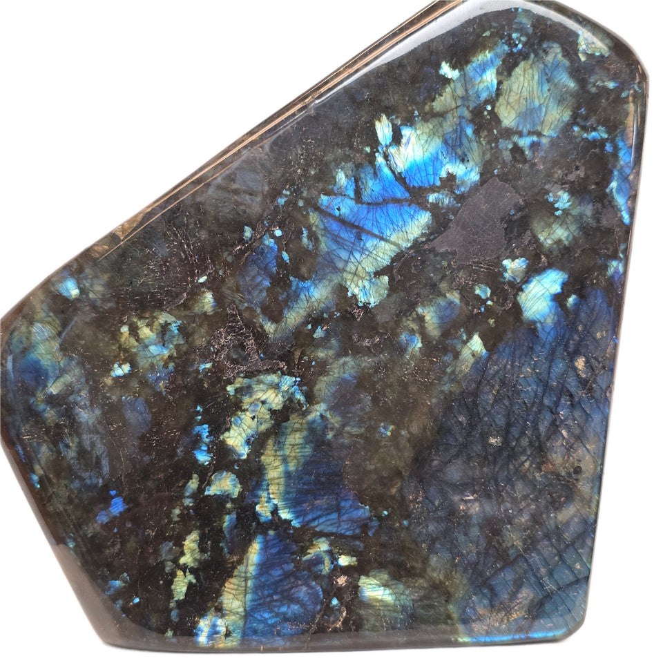 Large Labradorite Freeform – 19 lb