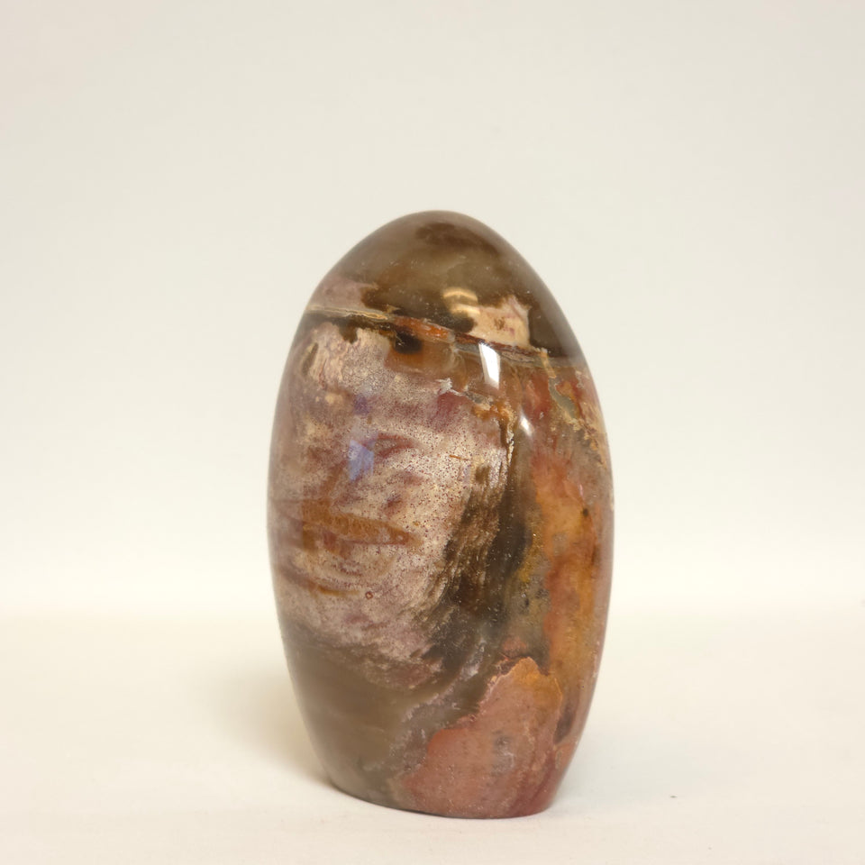 Polished Petrified Wood Freeform | Earth Tones