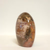 Polished Petrified Wood Freeform | Earth Tones
