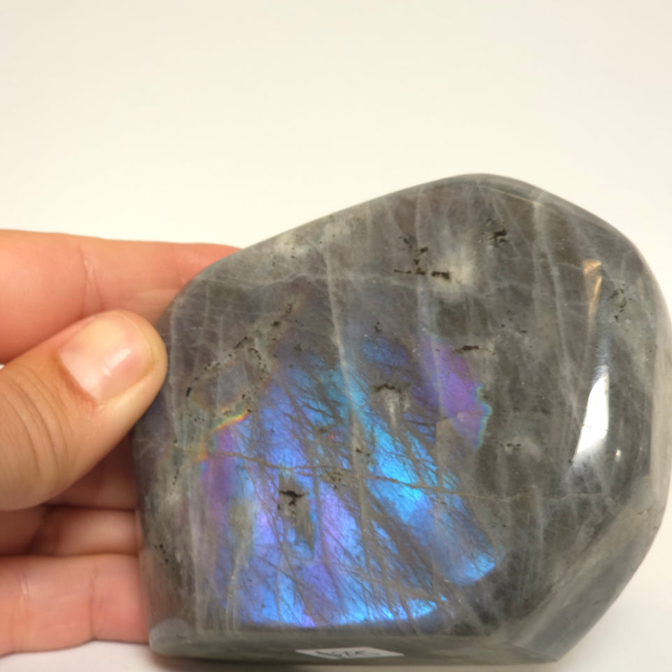 Labradorite Freeform with Blue and Purple Flash