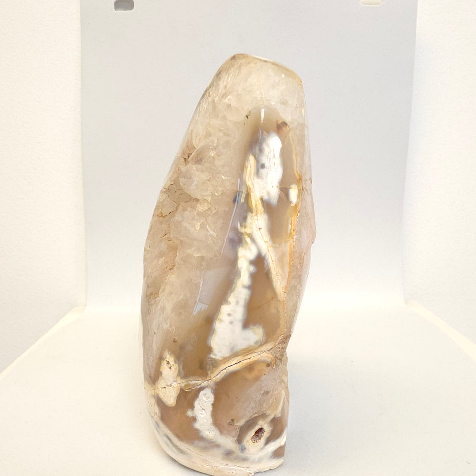 Orca Agate Portal Geode Freeform | 3.65 lb