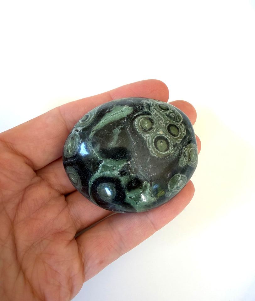 Kambaba Palm Stone