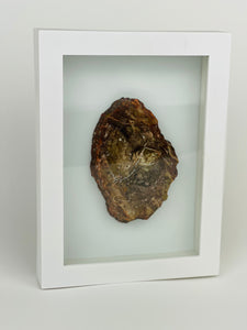 Petrified Wood Frame